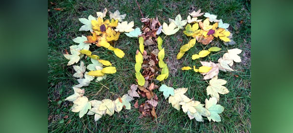 trashtag čistý les