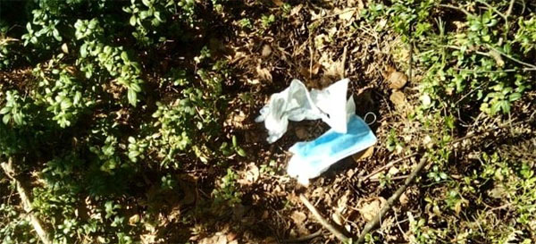 trashtag čistý les