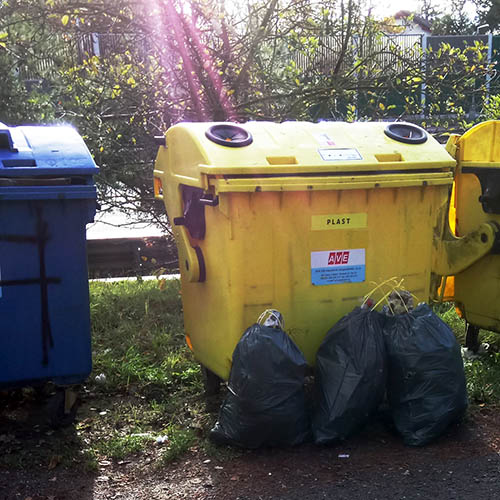 trashtag čistý les