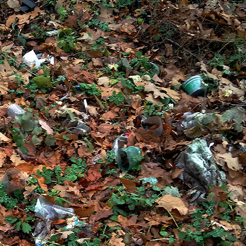 trashtag čistý les