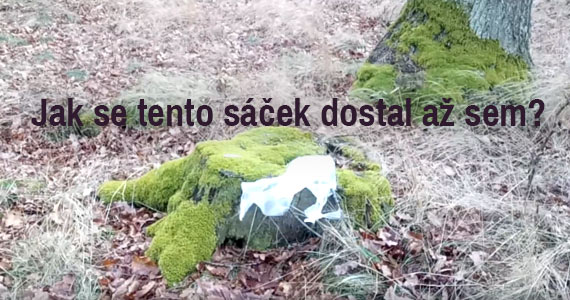 Jednorázové plasty