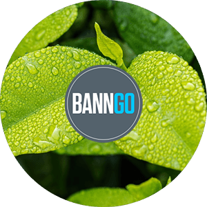 životní prostředí